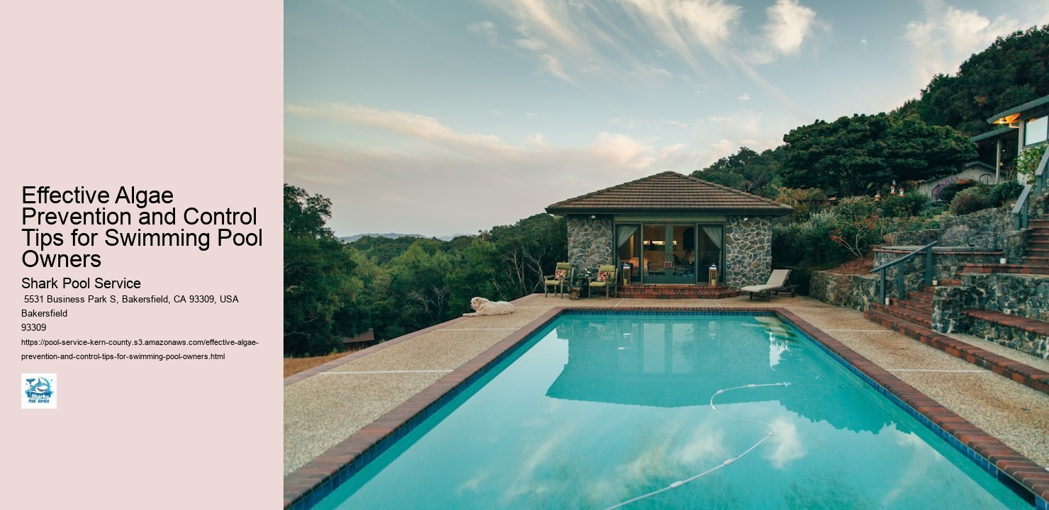 Effective Algae Prevention and Control Tips for Swimming Pool Owners